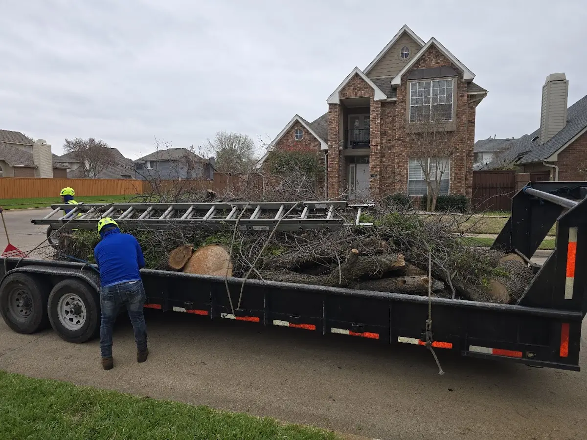 Expert Tree Fertilization with proper safety equipment in West Haven